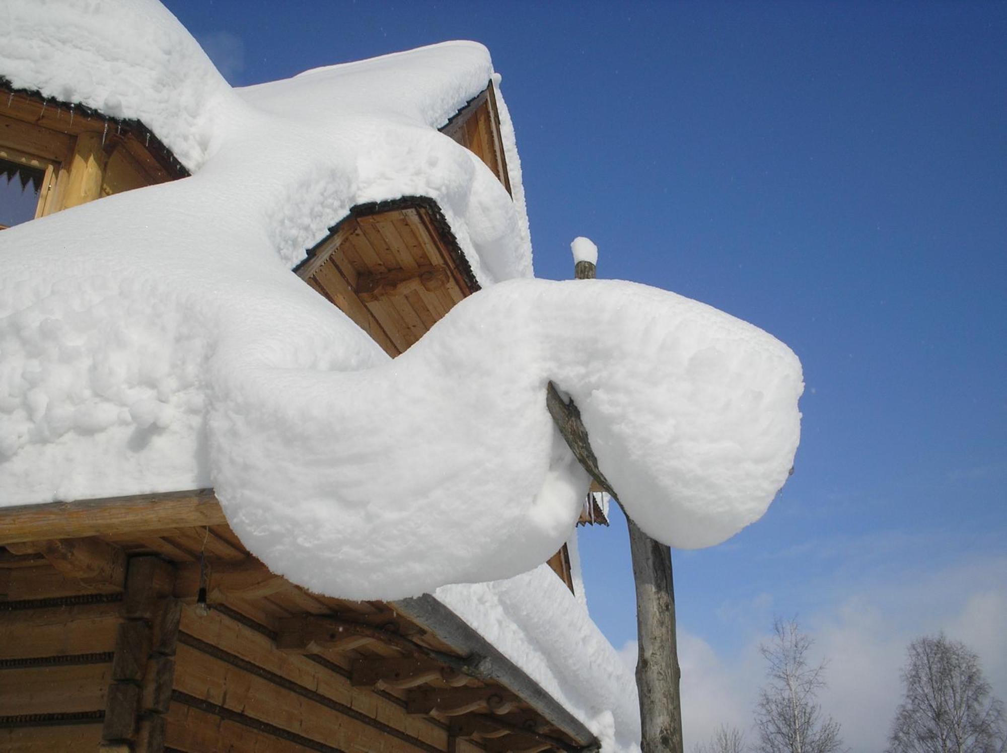 Nosalowka Zakopane Exteriör bild