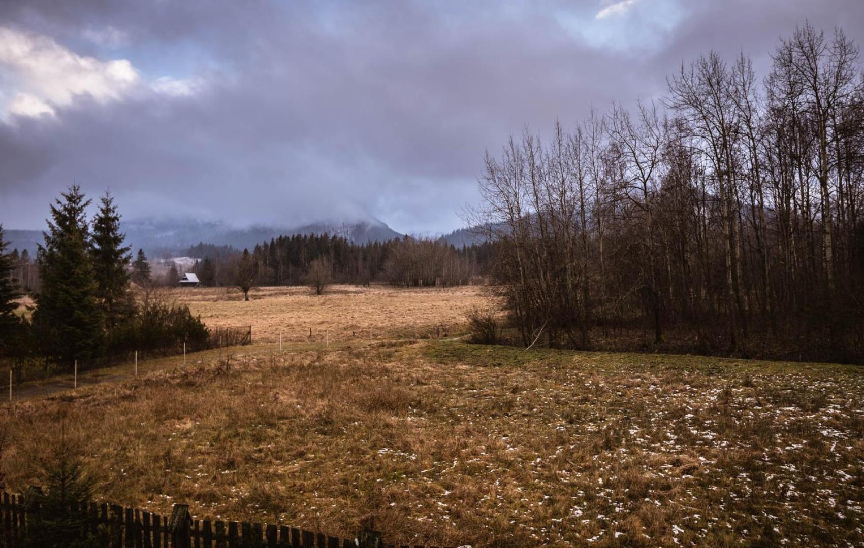 Nosalowka Zakopane Exteriör bild